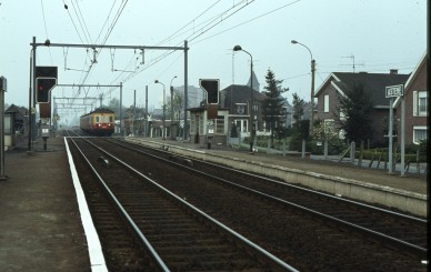 Astene - TH 80-3128.jpg
